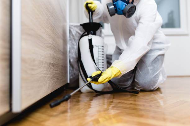Best Pest Inspection Near Me  in Hurricane, WV
