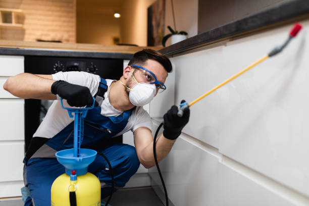 Best Best Pest Control Companies  in Hurricane, WV