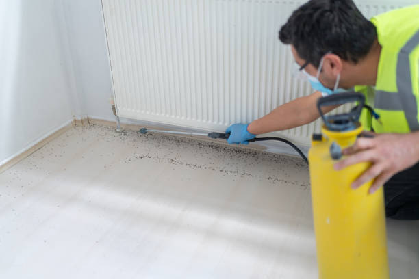 Best Best Pest Control Companies  in Hurricane, WV