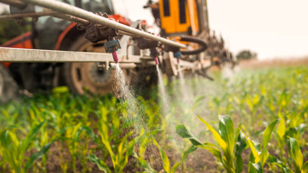 Best Pest Control for Homes  in Hurricane, WV